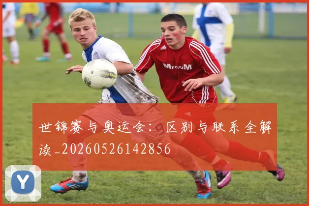 世锦赛与奥运会：区别与联系全解读_20260526142856