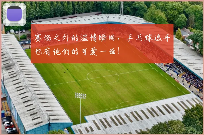 赛场之外的温情瞬间，乒乓球选手也有他们的可爱一面！