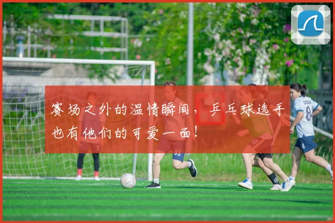 赛场之外的温情瞬间，乒乓球选手也有他们的可爱一面！