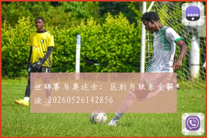 世锦赛与奥运会：区别与联系全解读_20260526142856
